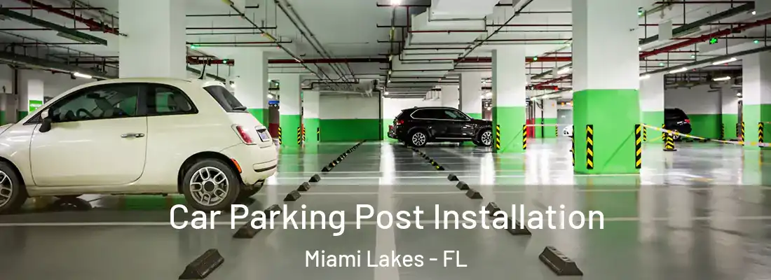  Car Parking Post Installation Miami Lakes - FL
