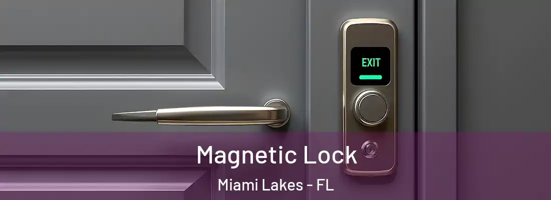  Magnetic Lock Miami Lakes - FL